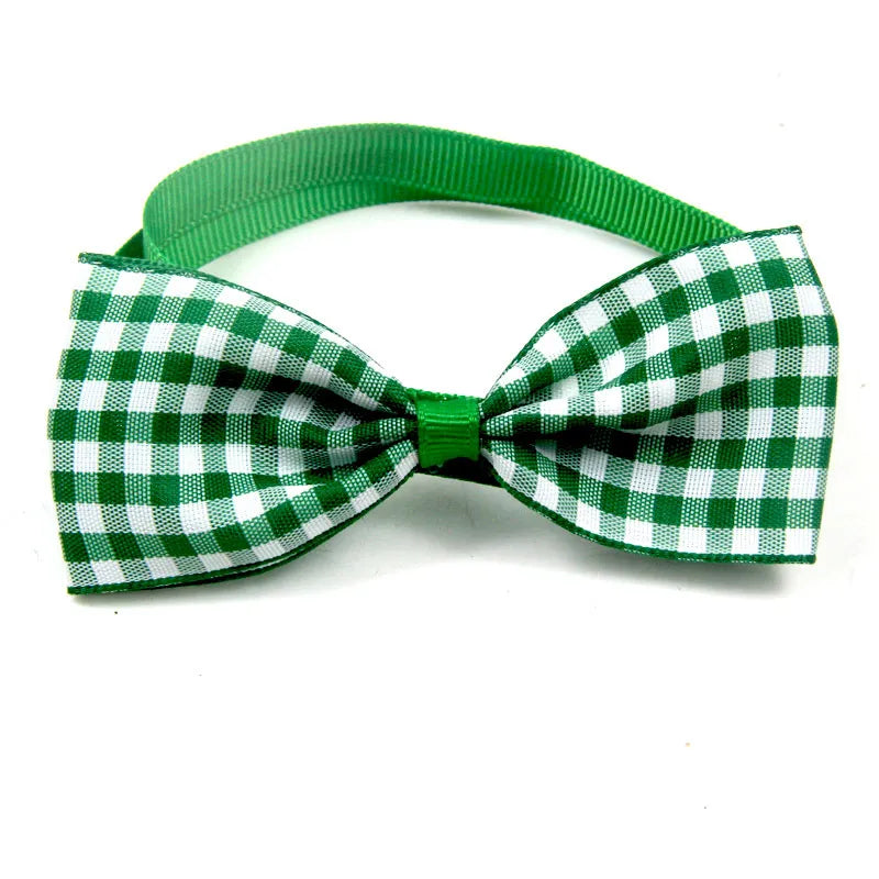 Pawgo Classic Bow Tie