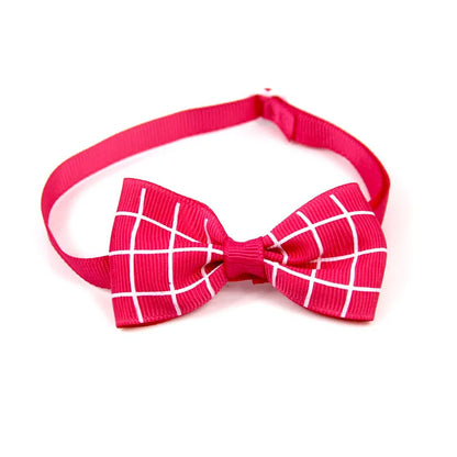 Pawgo Classic Bow Tie