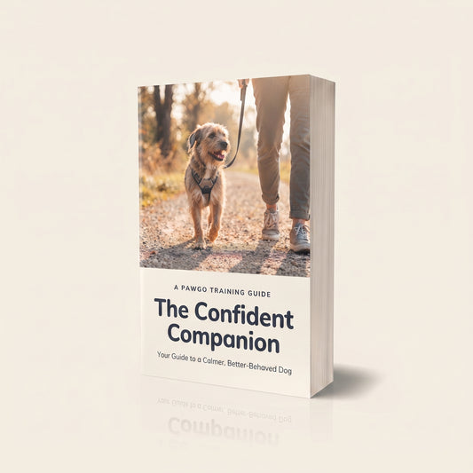 Secret Dog Training Guide