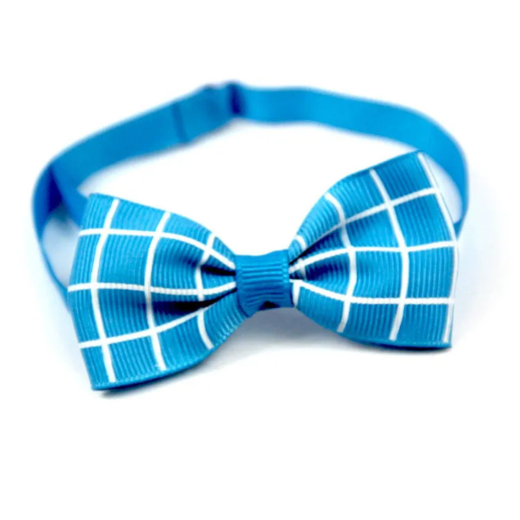 Pawgo Classic Bow Tie