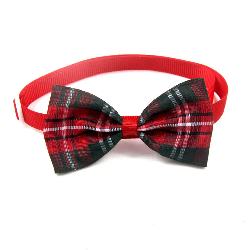 Pawgo Classic Bow Tie