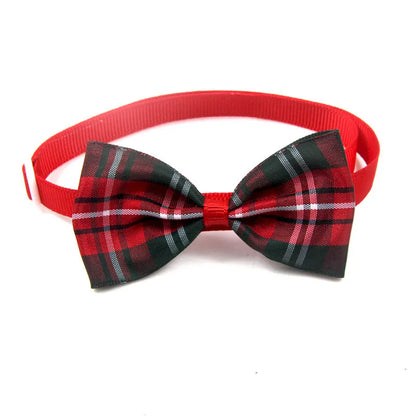Pawgo Classic Bow Tie